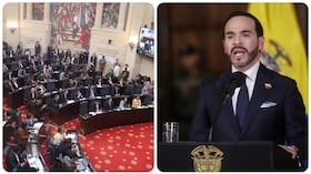 Desde el Senado respaldaron varias de las propuestas del Gobierno para reformar el sistema de multas y trámites de tránsito.