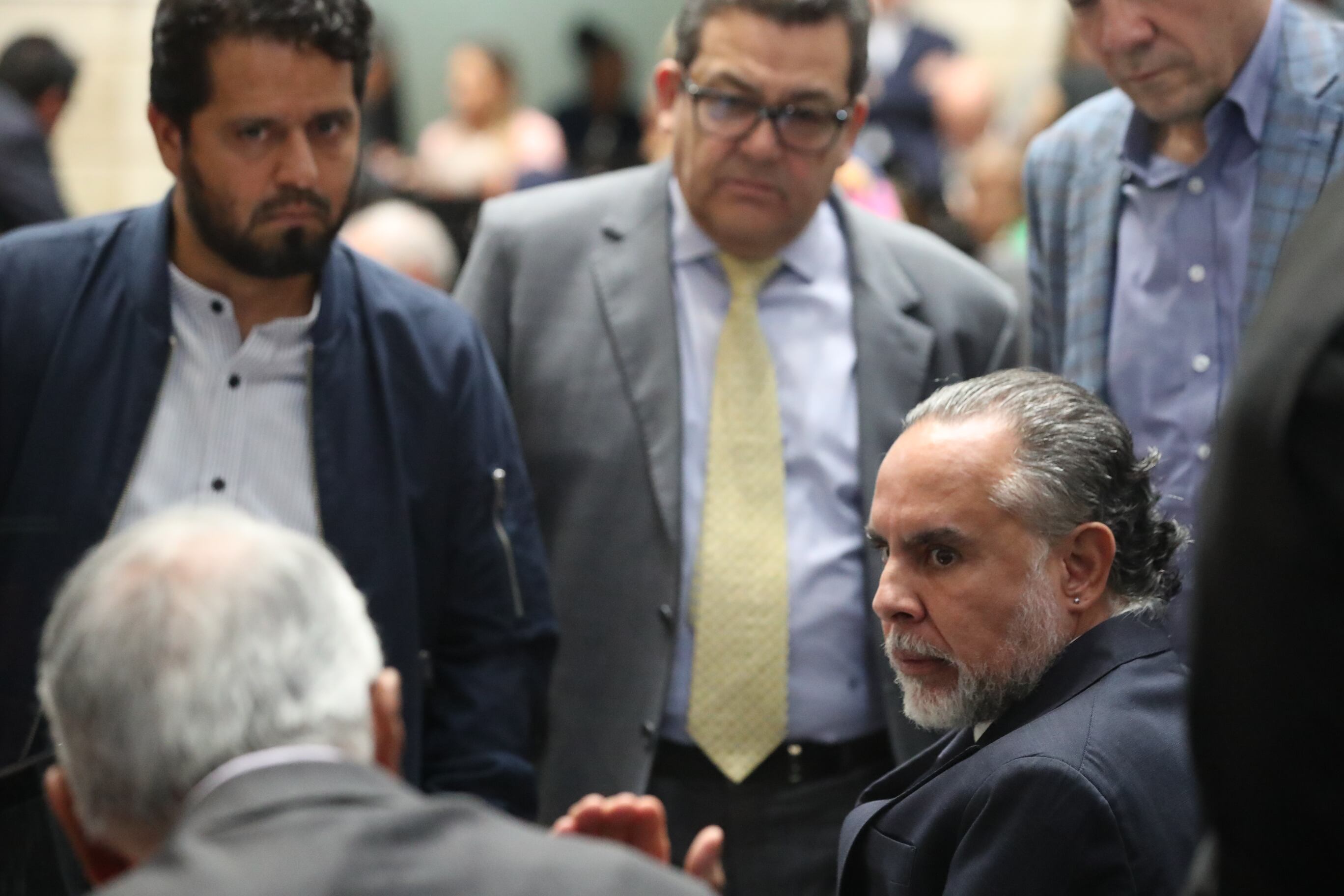 Plenaria Senado, consulta popular