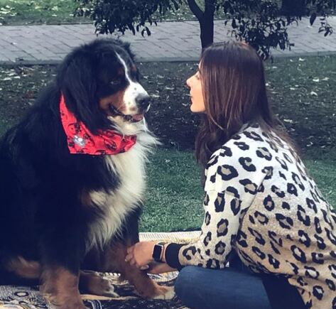 La presentadora despidió a su mascota con un sentido mensaje y tiernas fotografías.