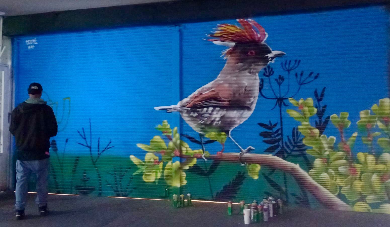 La Candelaria le apuesta al grafiti sostenible, una galería abierta.