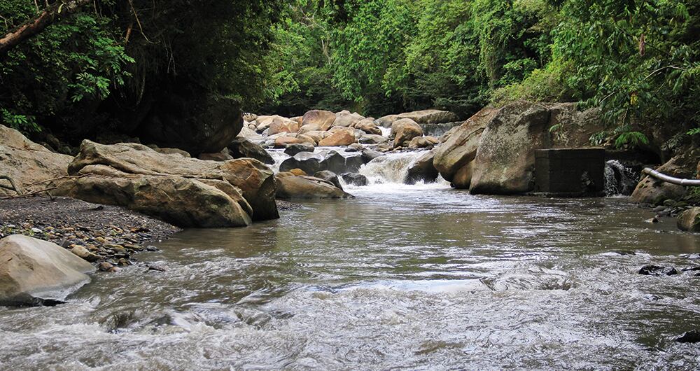 El cambio de hábitos y prácticas de los cerca de 12 millones de habitantes de su cuenca es fundamental para la recuperación del río Bogotá. Foto: Nicolás Acevedo