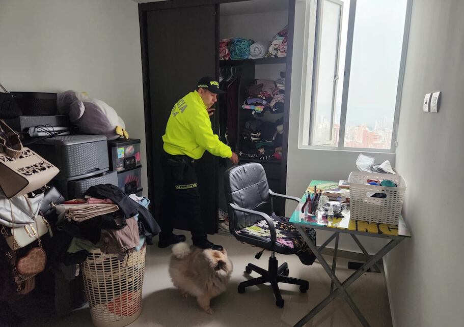 Viviendas de los presuntos delincuentes también fueron allanadas.