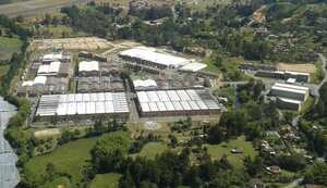 Invest Oriente, Especial Inversiones