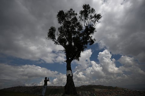 Un hombre toma una fotografía con su teléfono celular del eucalipto "El Palo del Ahorcado" en el barrio de Ciudad Bolívar, al sur de Bogotá, en Cerro Seco. (Photo by Raul ARBOLEDA / AF