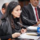 Luz María Zapata, directora ejecutiva de Asocapitales, está en el cargo desde 2018