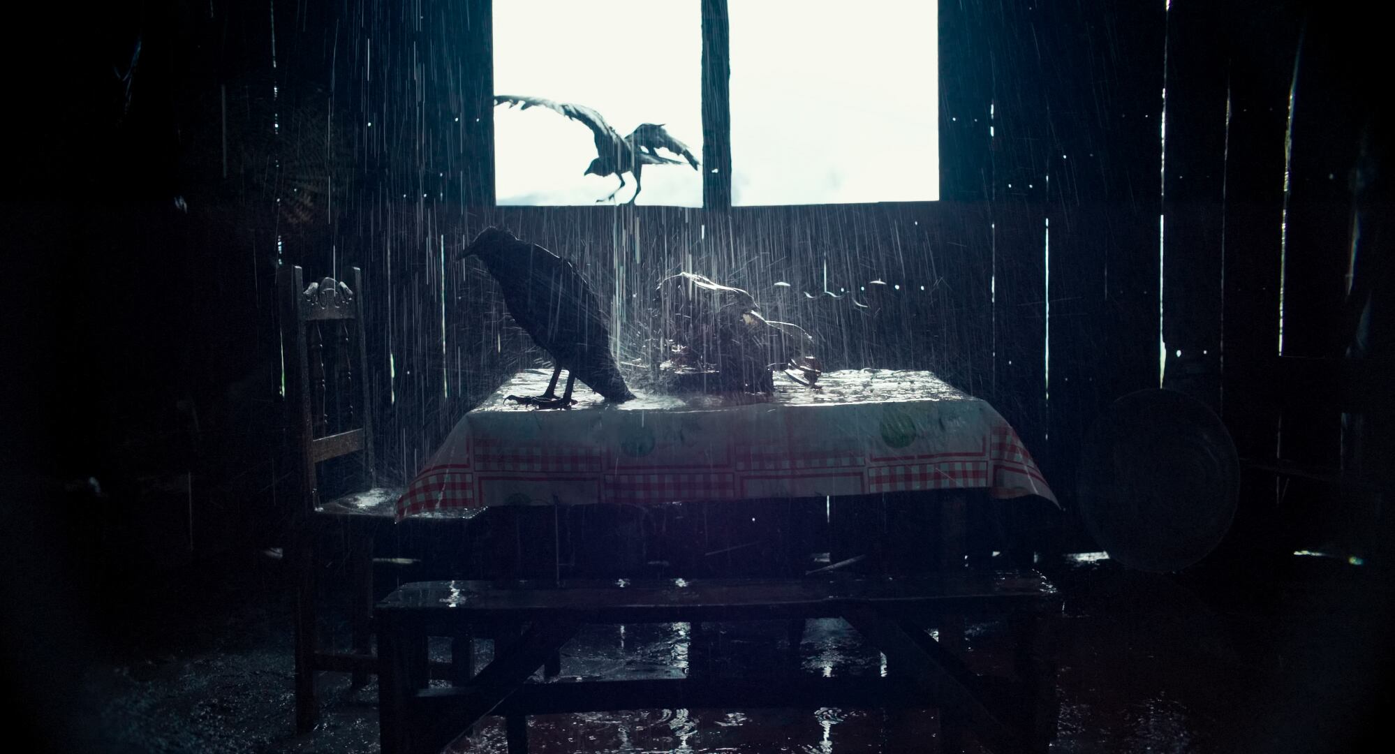 'Entre la niebla' de Augusto Sandino.