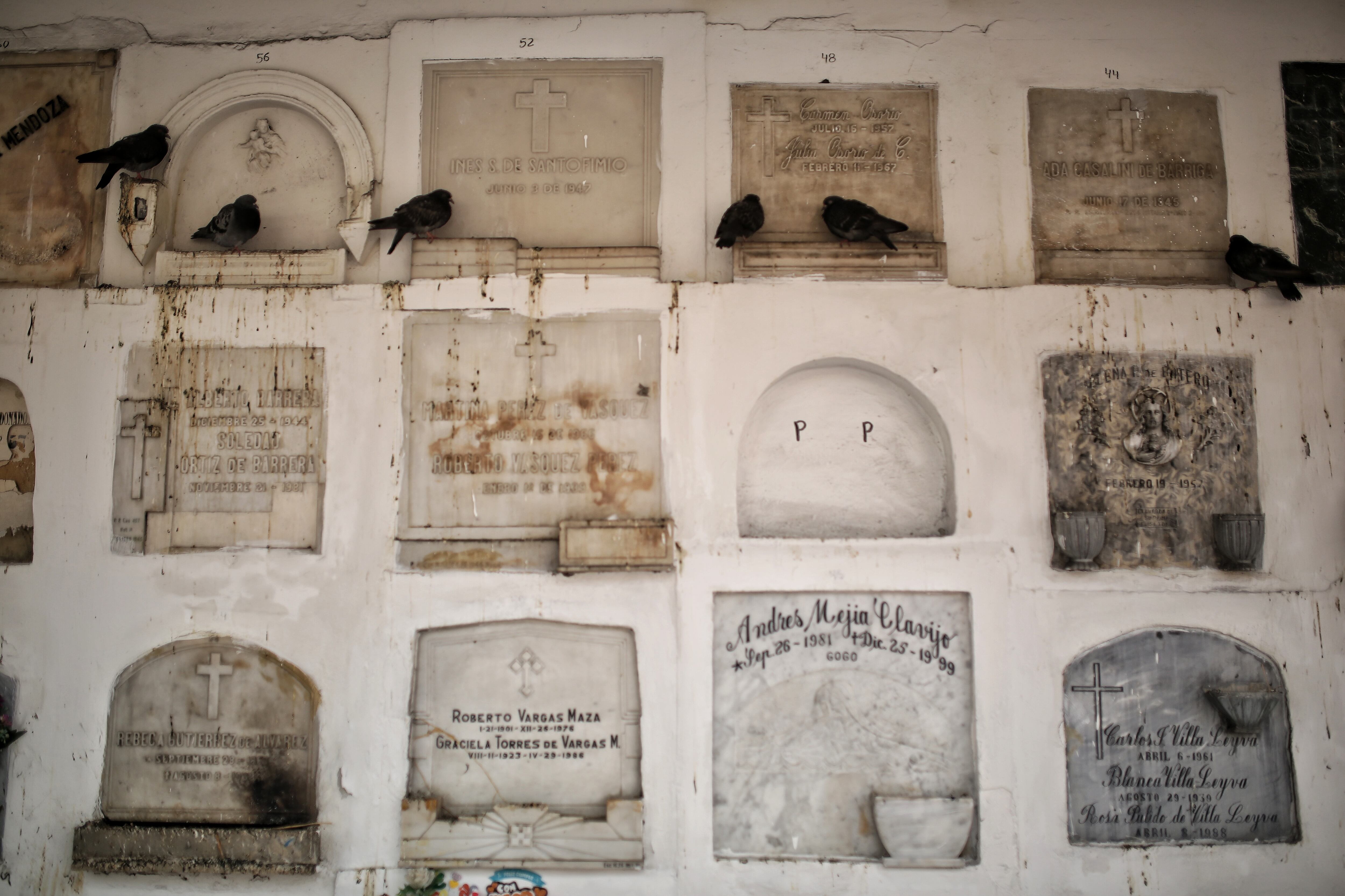 Eder Paradas
Cementerio Central