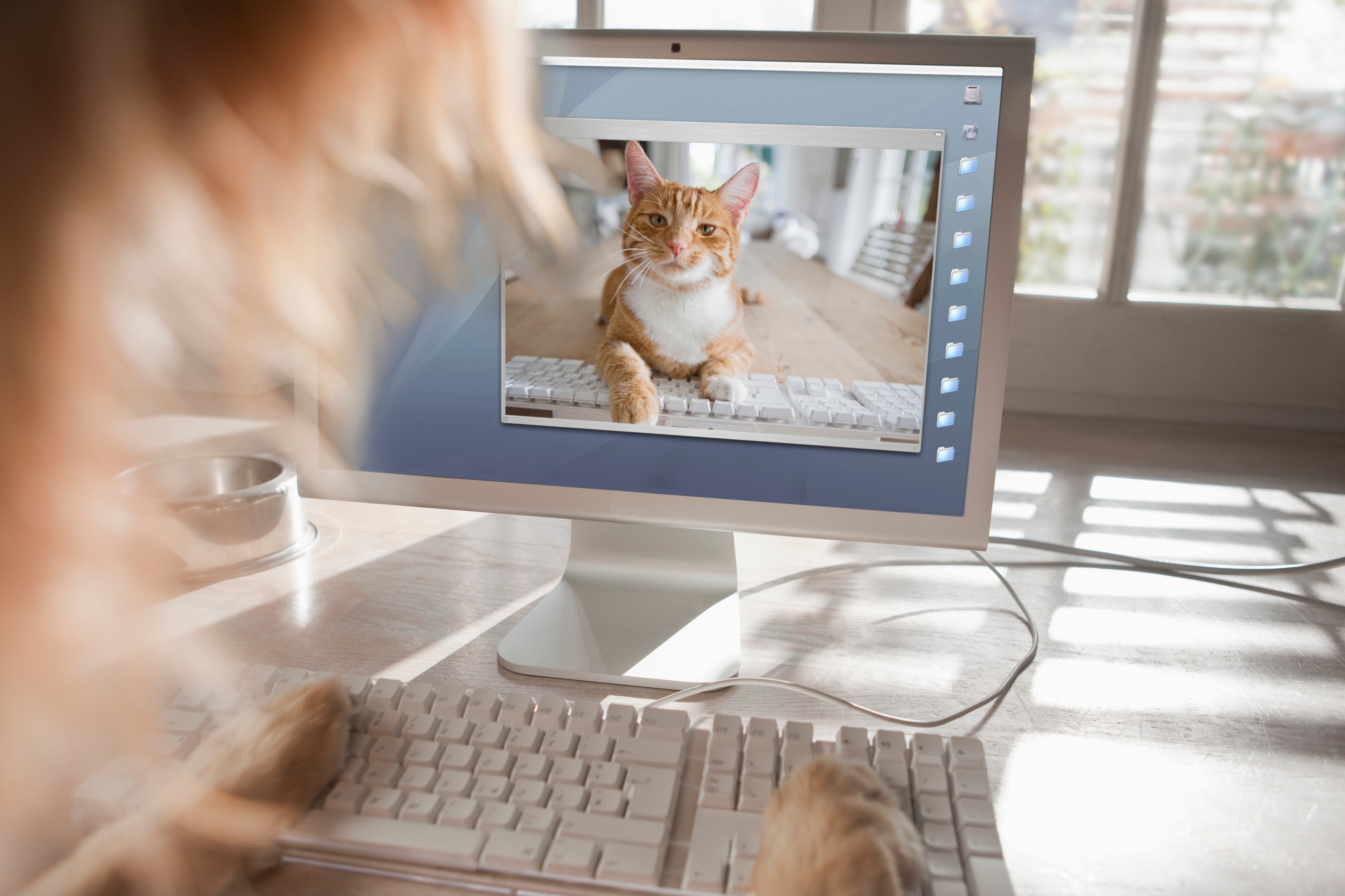 El mundo digital está abierto para disfrutar con nuestras mascotas