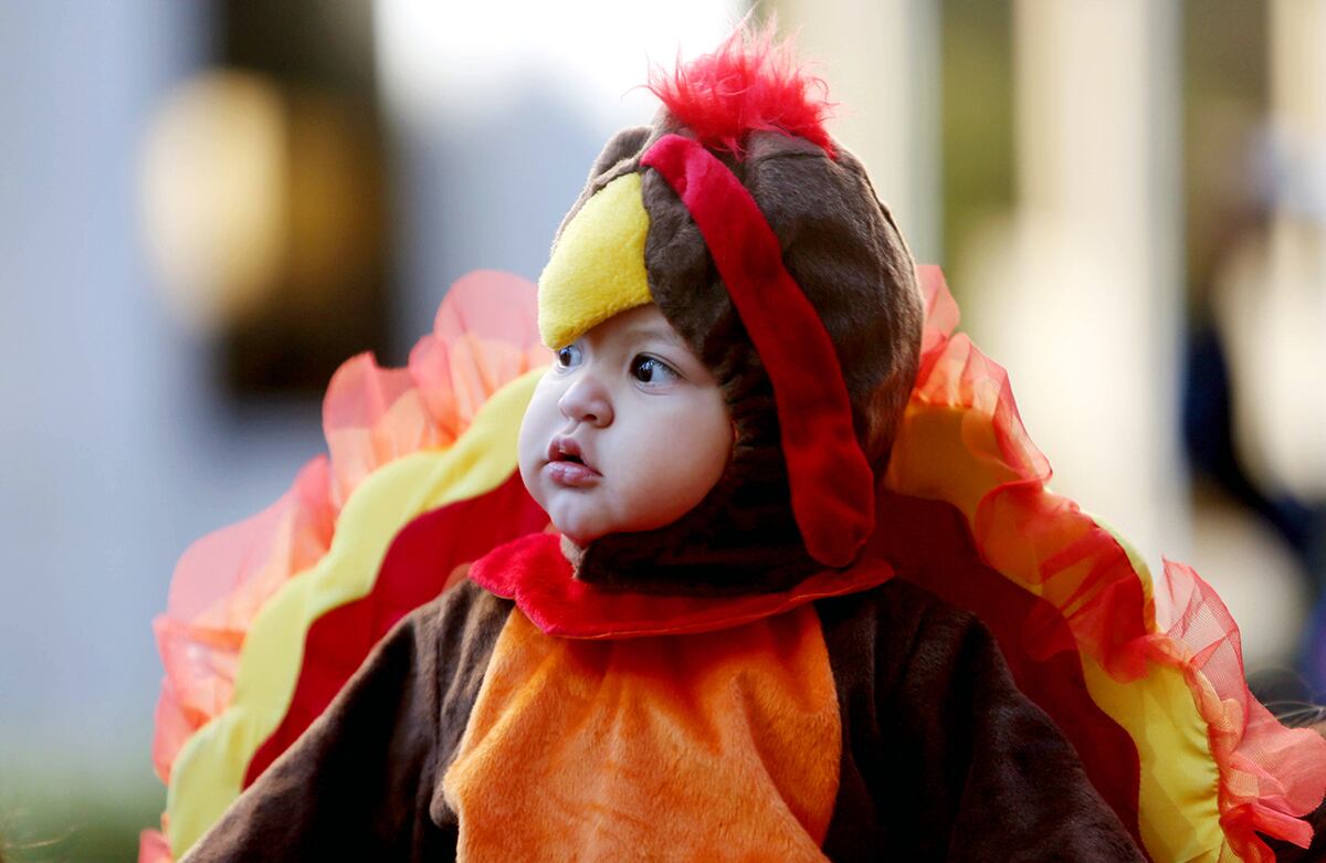 Carmelo Suárez, de once meses de edad, celebra vestido como un pavo en un desfile del Día de acción de gracias en Houston, Estados Unidos. (AP)