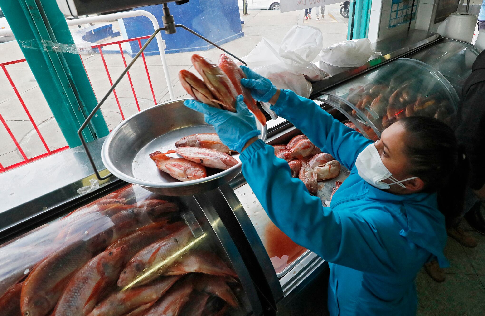Central de Abastos de Bogotá CORABASTOS
venta de pescado de buena calidad en Semana Santa
canasta familiar alimentos