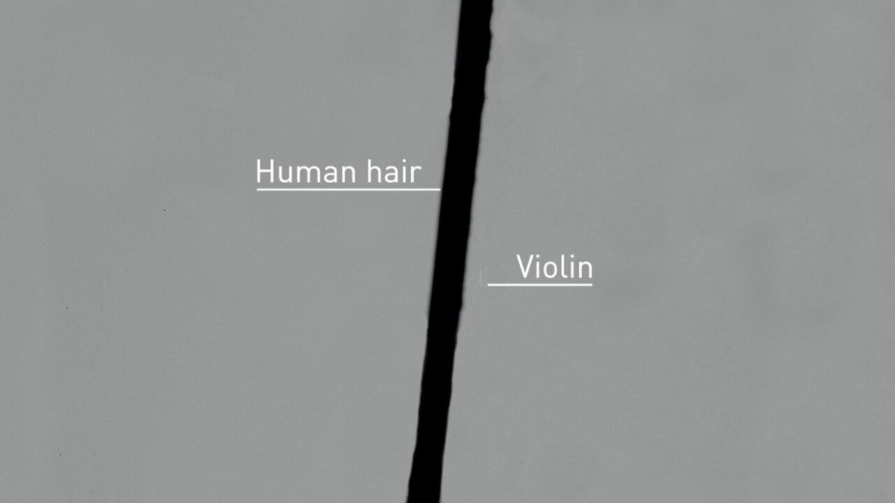 Lo que fue sátira en televisión, hoy es un logro científico sin precedentes.