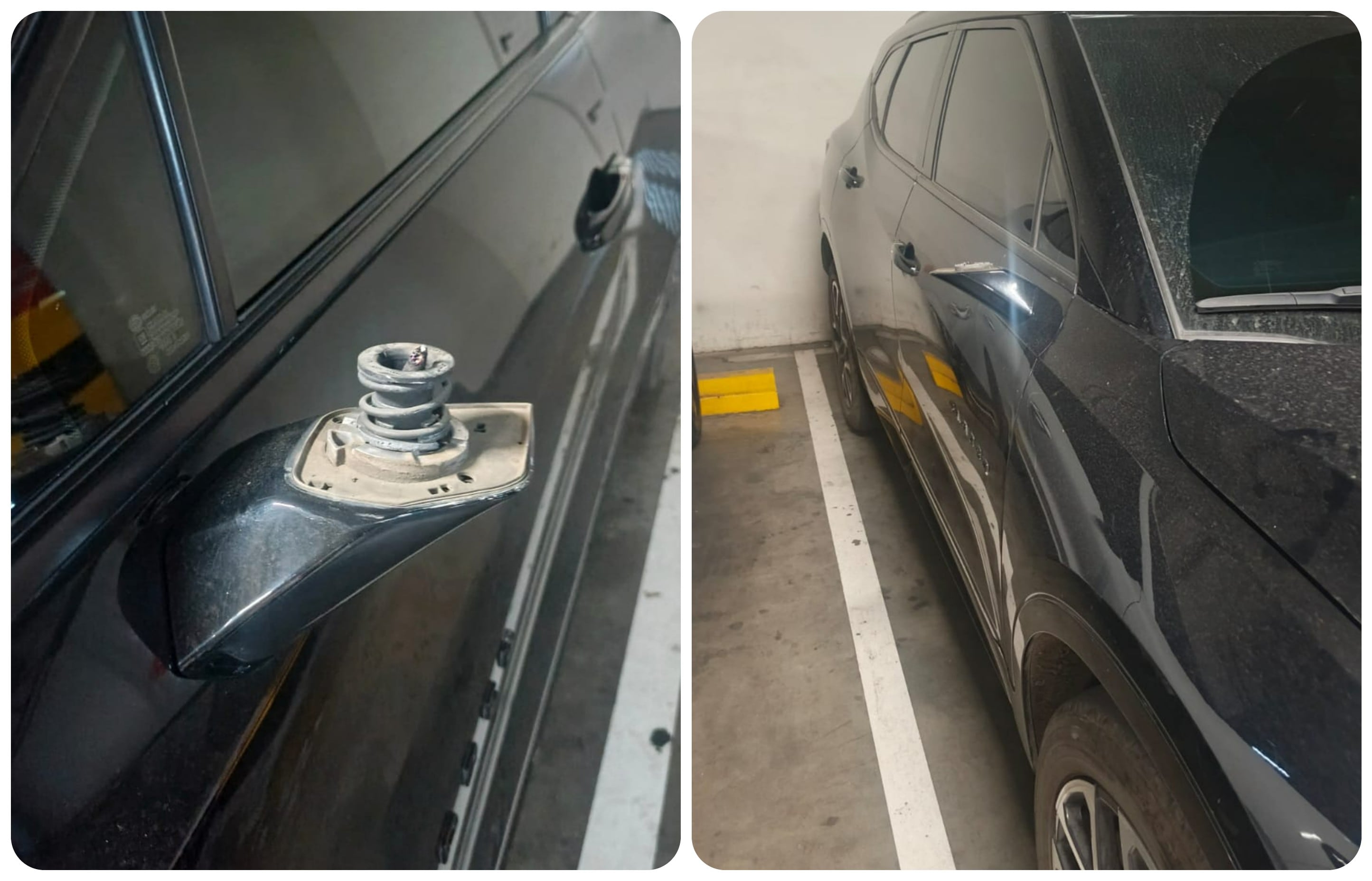Robo masivo en el centro comercial Placa Claro.