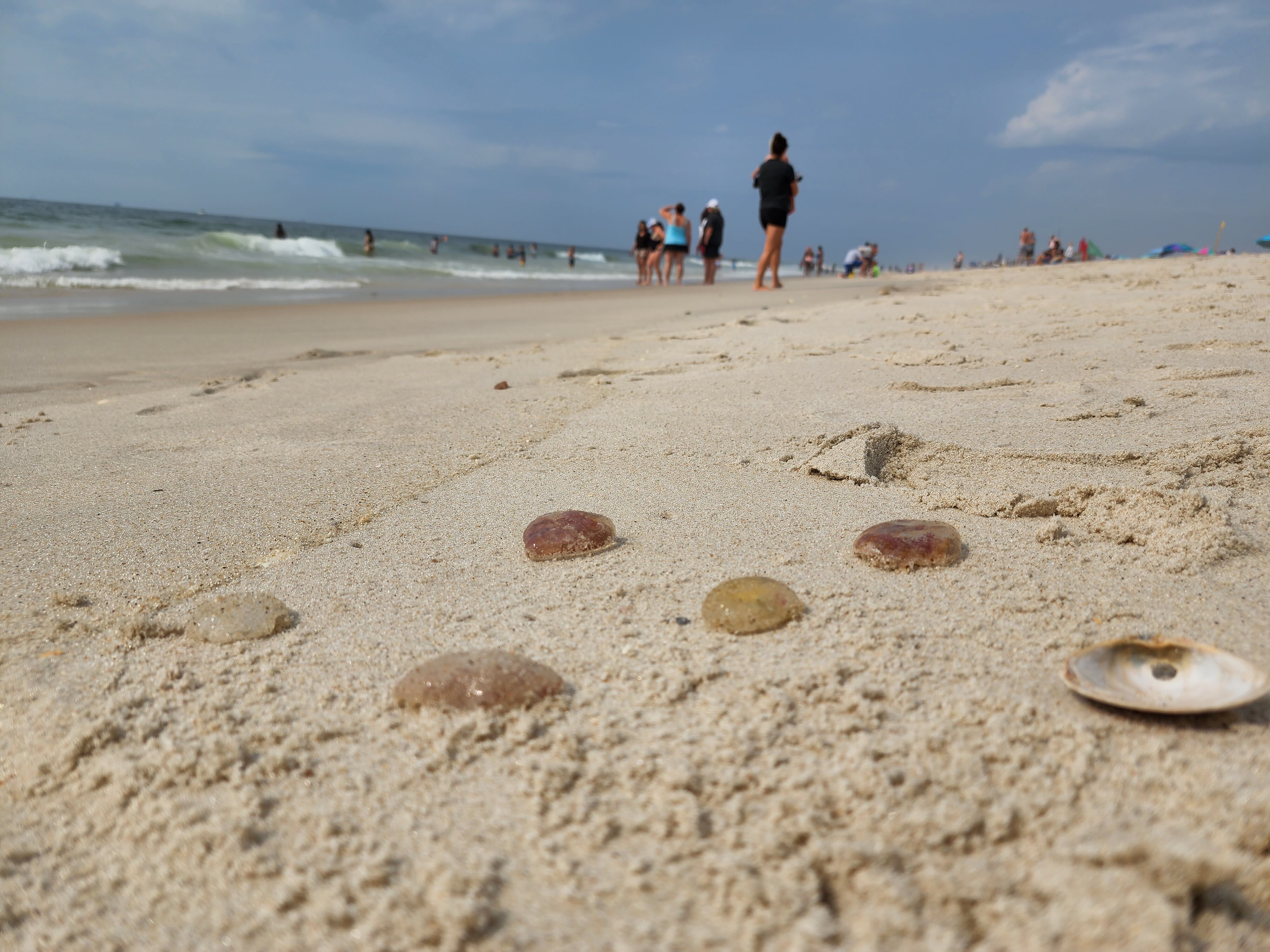 Una vista de una de las playas más concurridas de Long Island