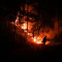 Boric dijo en Twitter que seguía trabajando "para enfrentar los incendios forestales y apoyar a las familias".