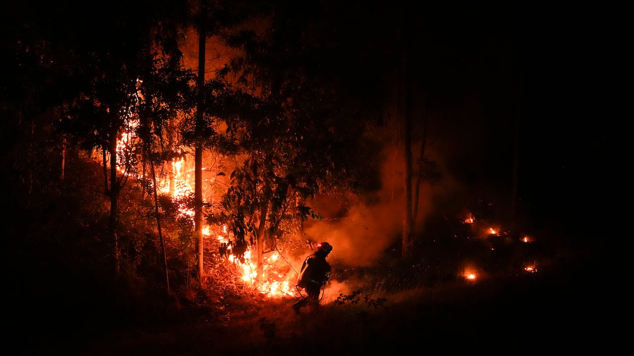 Los incendios han consumido grandes hectáreas de bosque en Chile