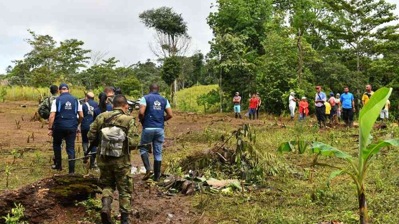 Disidencia de las Farc