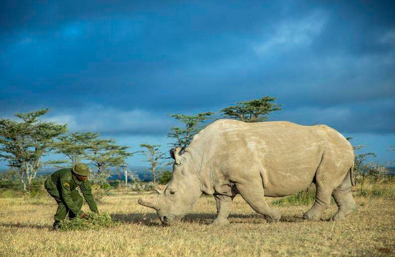 FOTO: Georgina Goodwin - Kenia