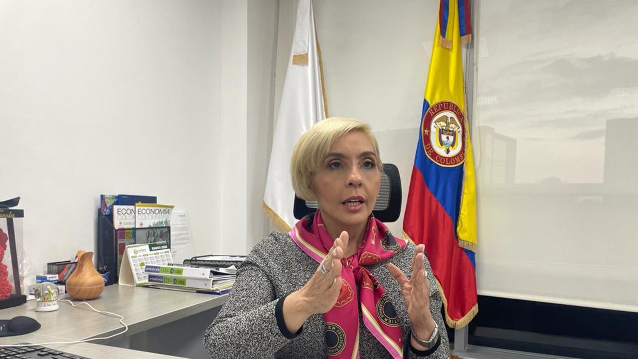 Elvia Otero
Directora DIARI