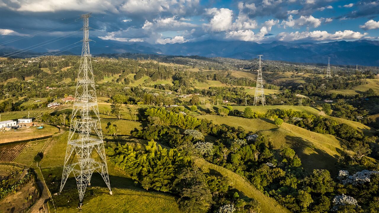 A lo largo de sus proyectos de transmisión, el Grupo Energía Bogotá protege la fauna y la flora nativa.