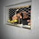 Inpec se tomó las pricipales cárceles del país. Arrancaron con La Picota.