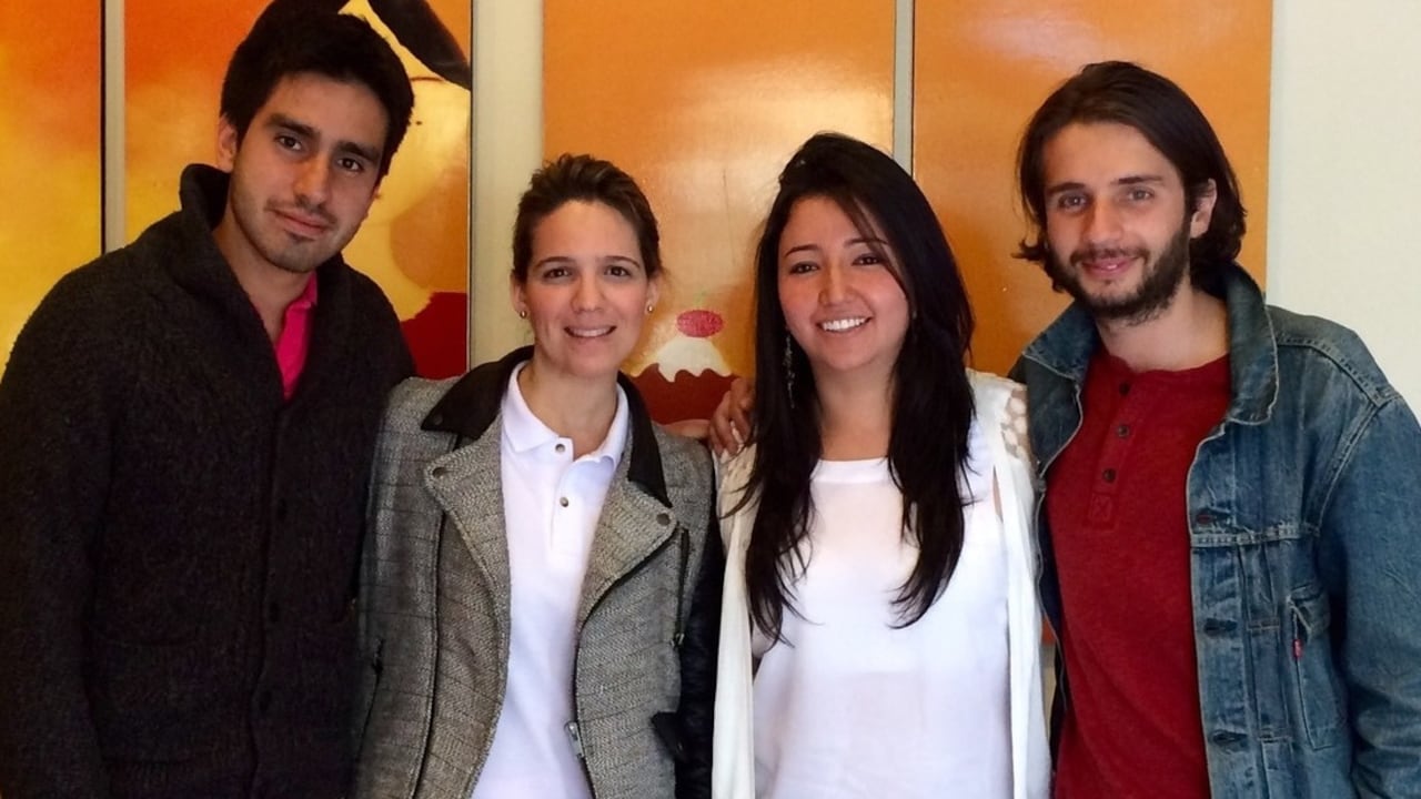 Dispensadores de comida para perros callejeros