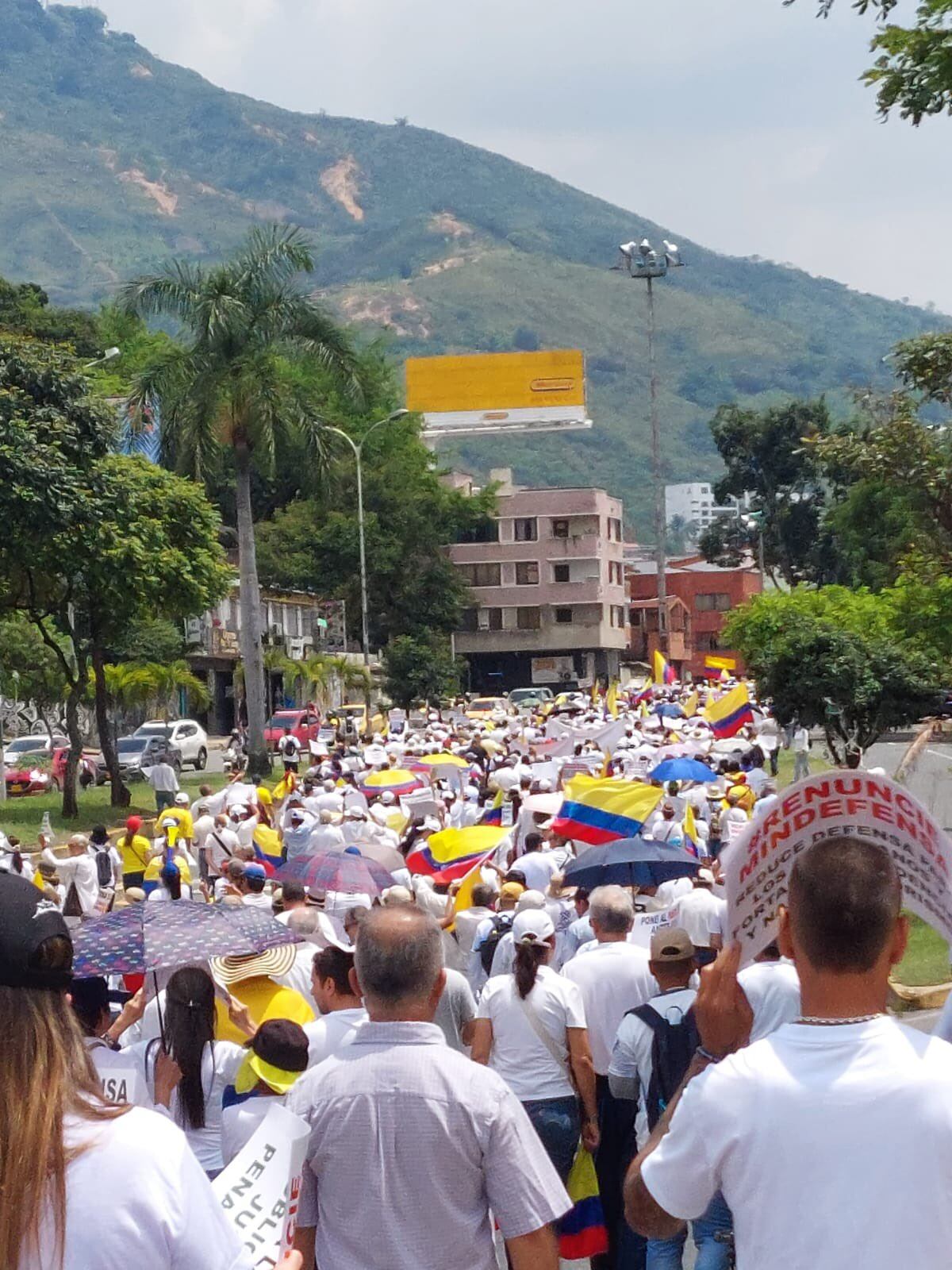Marcha La Mayoría en Cali.