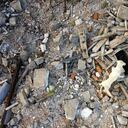 Si tienes preguntas, envíalas a: revista4patas@semana.com