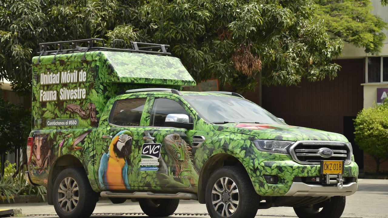 En la unidad se transportarán los animales que serán liberados, luego de haber recibido los cuidados pertinentes por parte de la CVC.