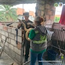 La persona acusada tuvo en cautiverio durante al menos dos años a varios animales silvestres y exóticos