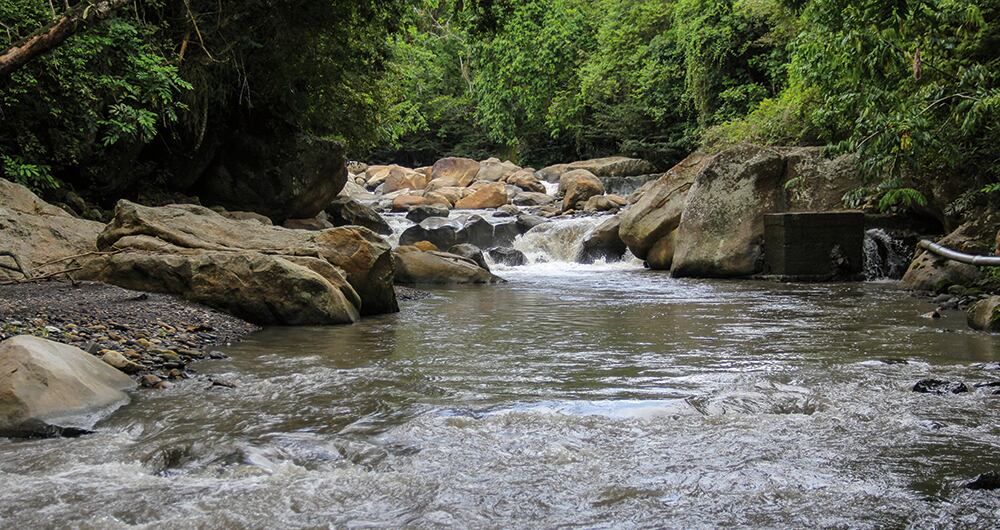 Solo 11 kilómetros del río Bogotá tienen agua cristalina.
