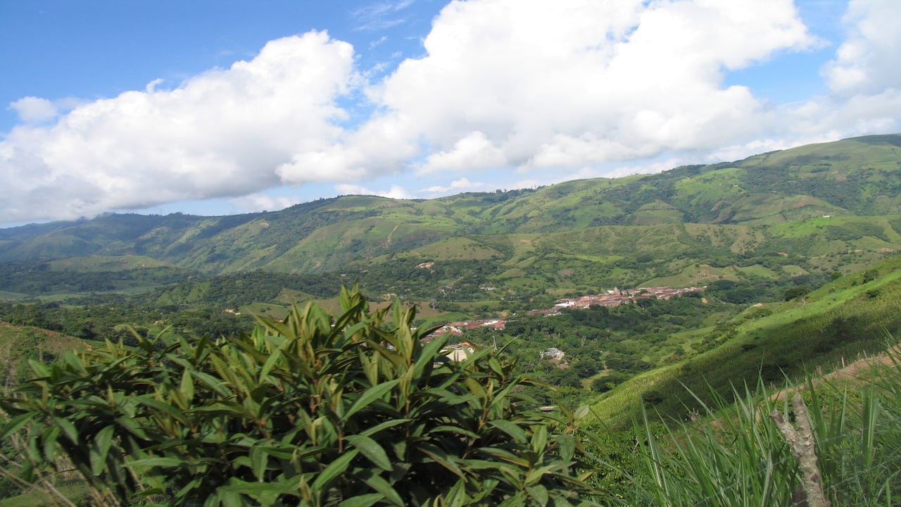 Este municipio antioqueño destaca por su oferta natural y su producción de panela.
