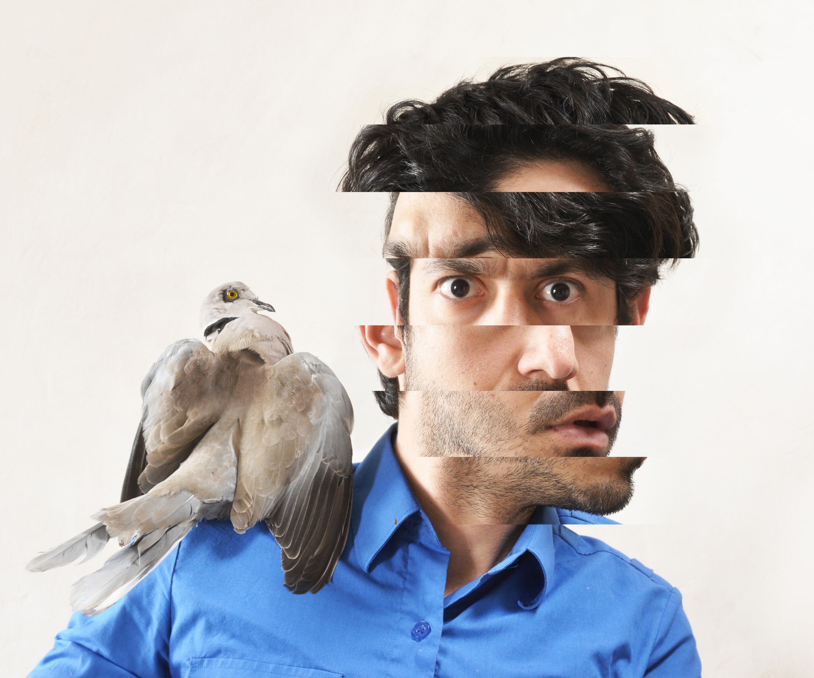 NIETO: Auto-portrait, Intervención