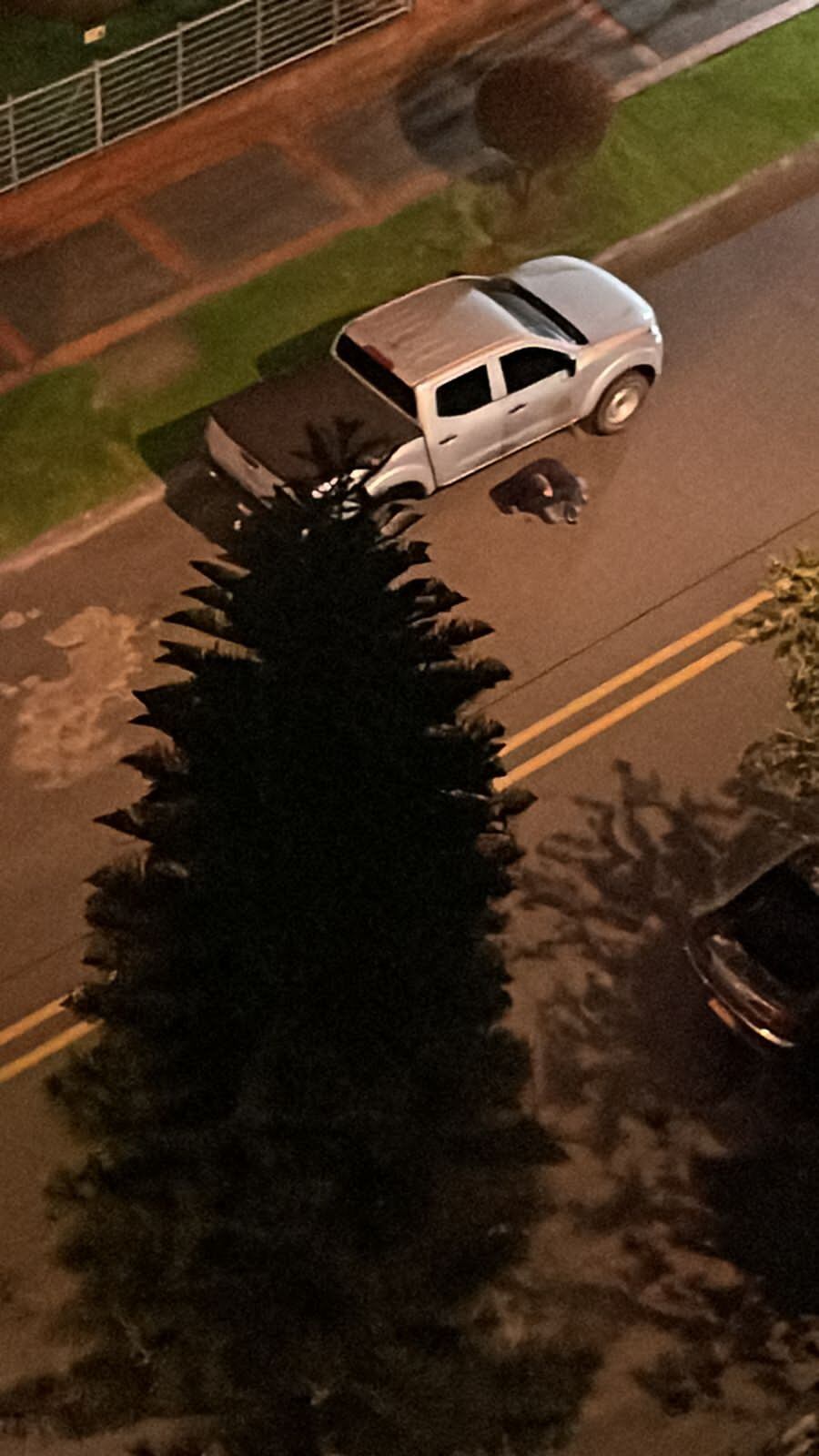 subintendente Javier Galeano Arango, escolta coronel Óscar Dávila