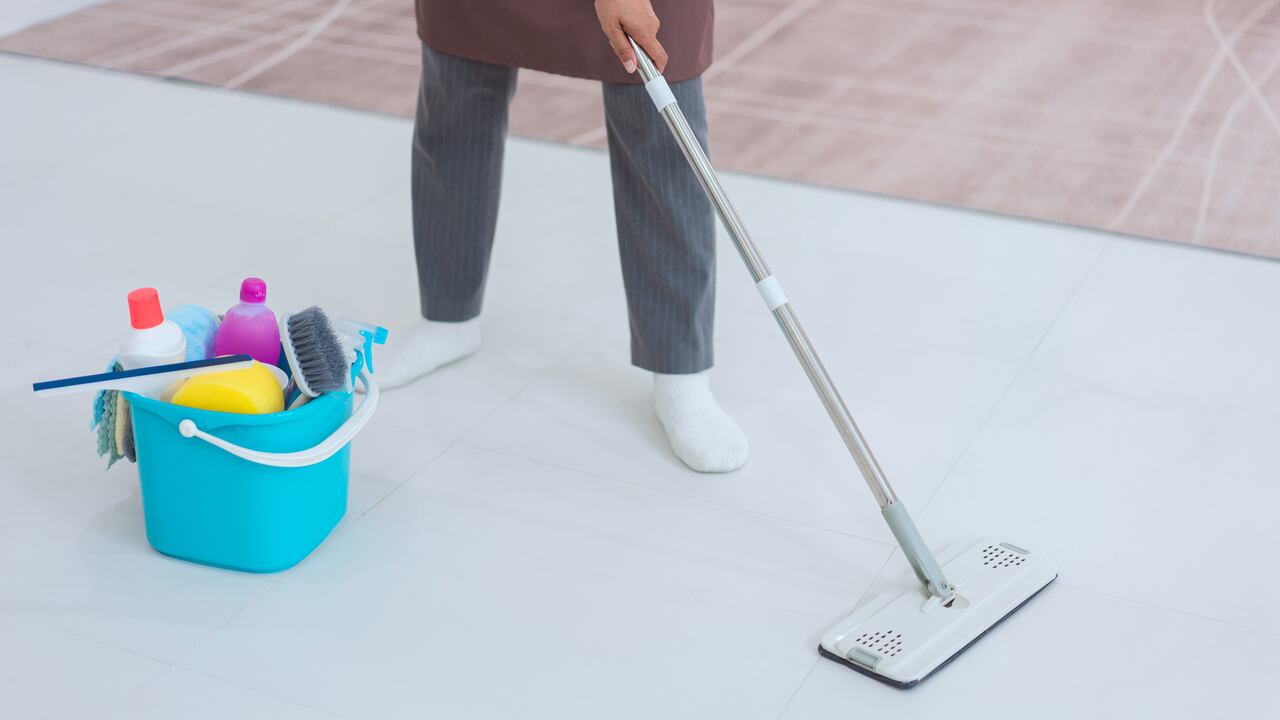 Hay hierbas que repelen a las cucarachas y una de ellas es el laurel.