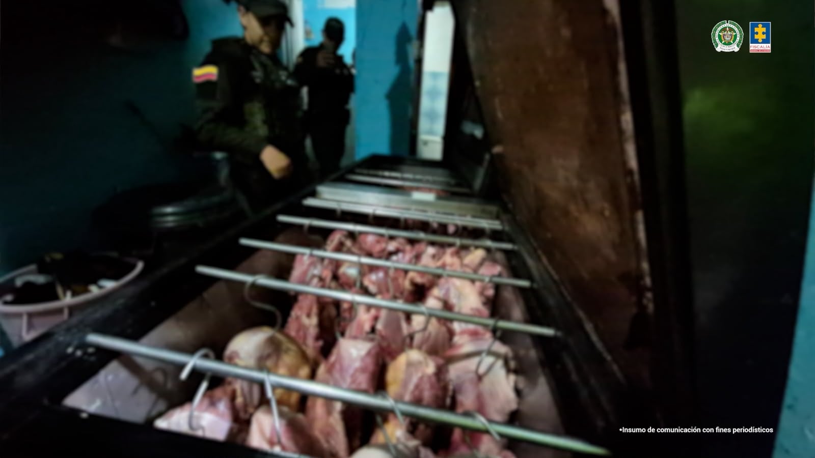Red criminal inundó de carne de caballo establecimientos en Bucaramanga. La Fiscalía la desarticuló.