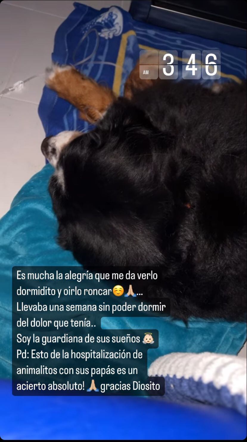 La presentadora se mostró preocupada y triste por la salud de su perrito.