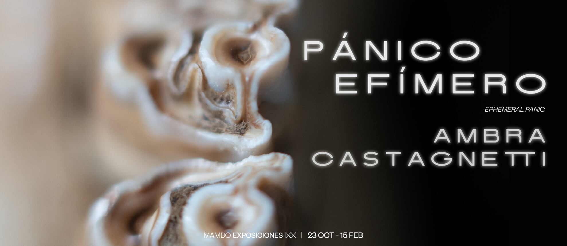 'Pánico efímero', Ambra Castagnetti. Octubre 23, 2025 - febrero 15, 2026
Sala Carlos Rojas (Nivel 3). Curaduría: Eugenio Viola y Juaniko Moreno.