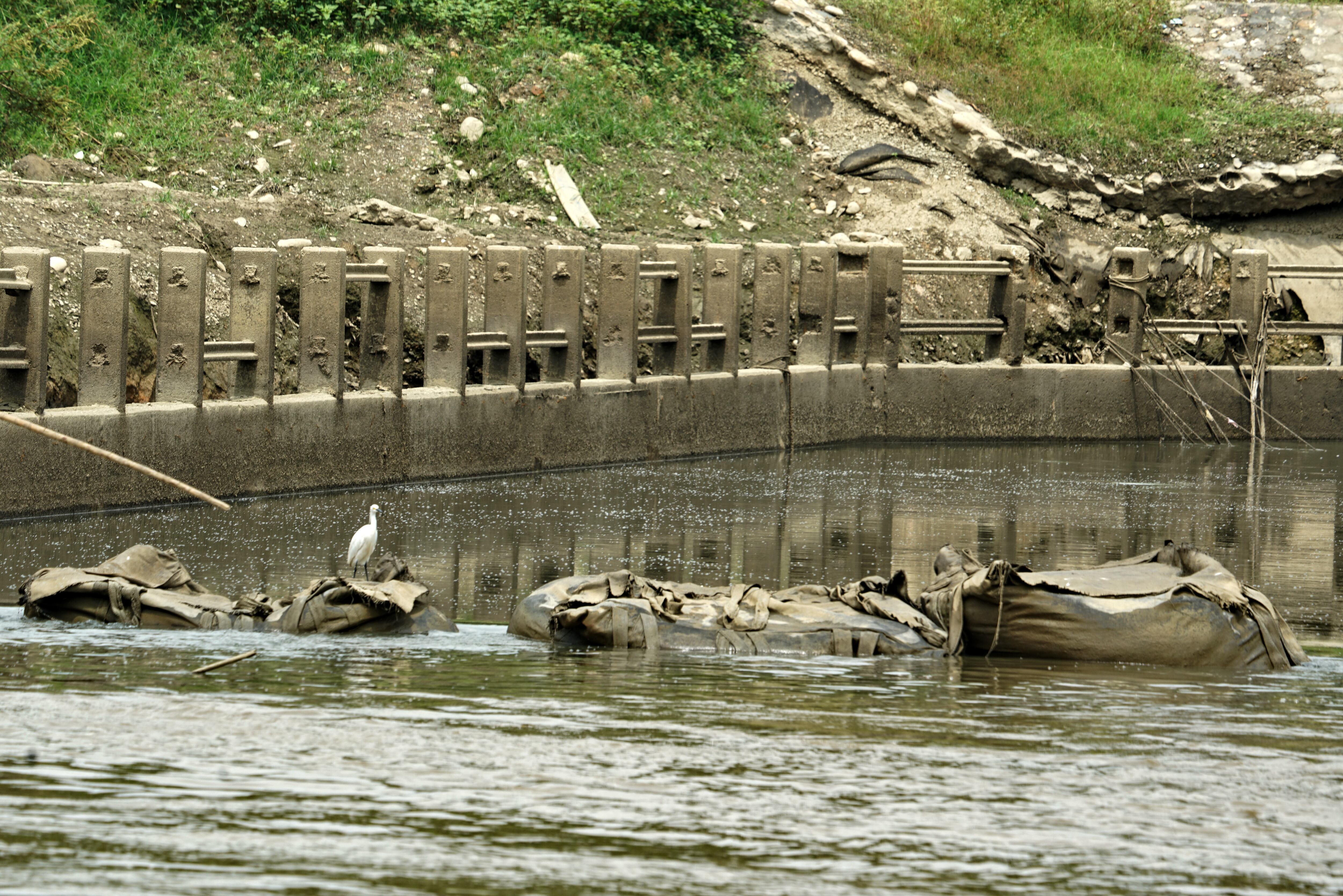 Luego de que sectores ambientales, políticos y entes de control denunciaron las demoras de las obras de optimización de la Ptar Cañaveralejo, Emcali informó que ya aprobó recursos por $22.000 millones para implementar un plan de choque en el que se incluirán tres procesos de contratación
