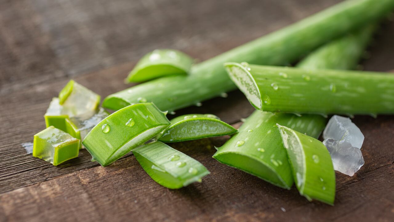 El aloe vera también es conocido como sábila.