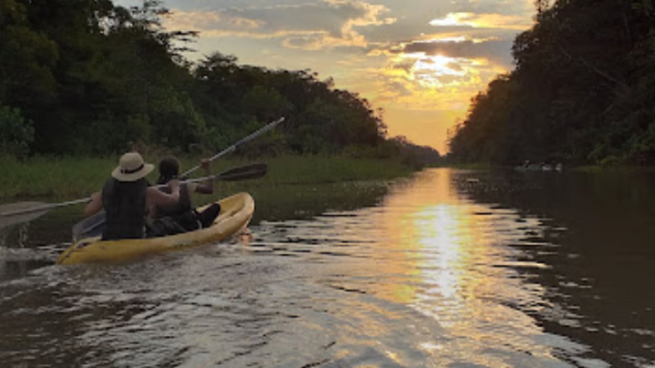 Planes para visitar y disfrutar del Amazonas