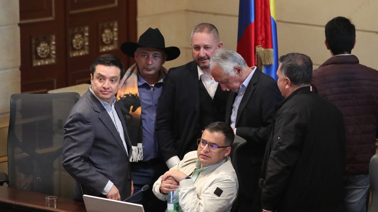 Sesiones extraordinarias en la plenaria de la Cámara de Representantes por reforma a la salud.