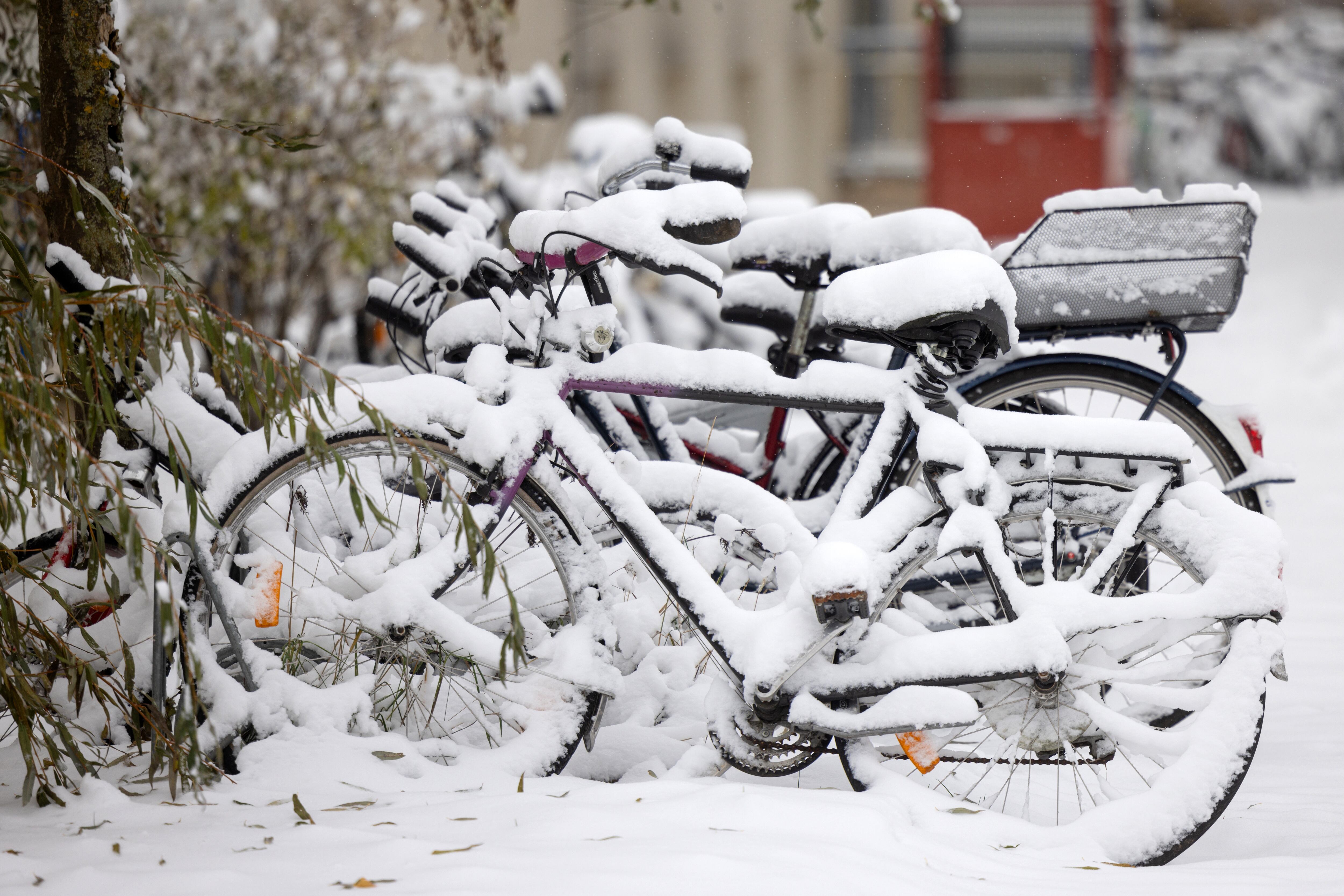 Una nevada en Berlín, Alemania. (Foto de Halil Sagirkaya/Anadolu vía Getty Images)