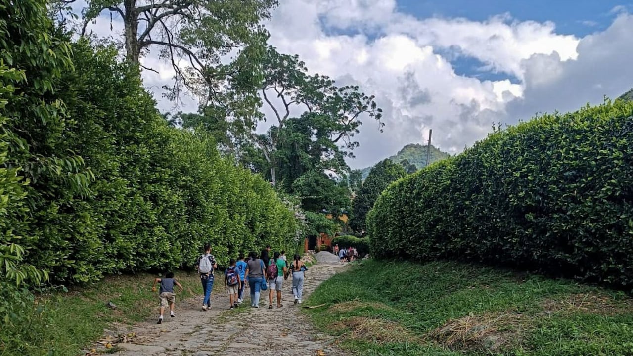 Antes conocido como 'primavera cundinamarquesa', este es el pueblo donde el paisaje se fusiona con el verde de las montañas y cielo azul