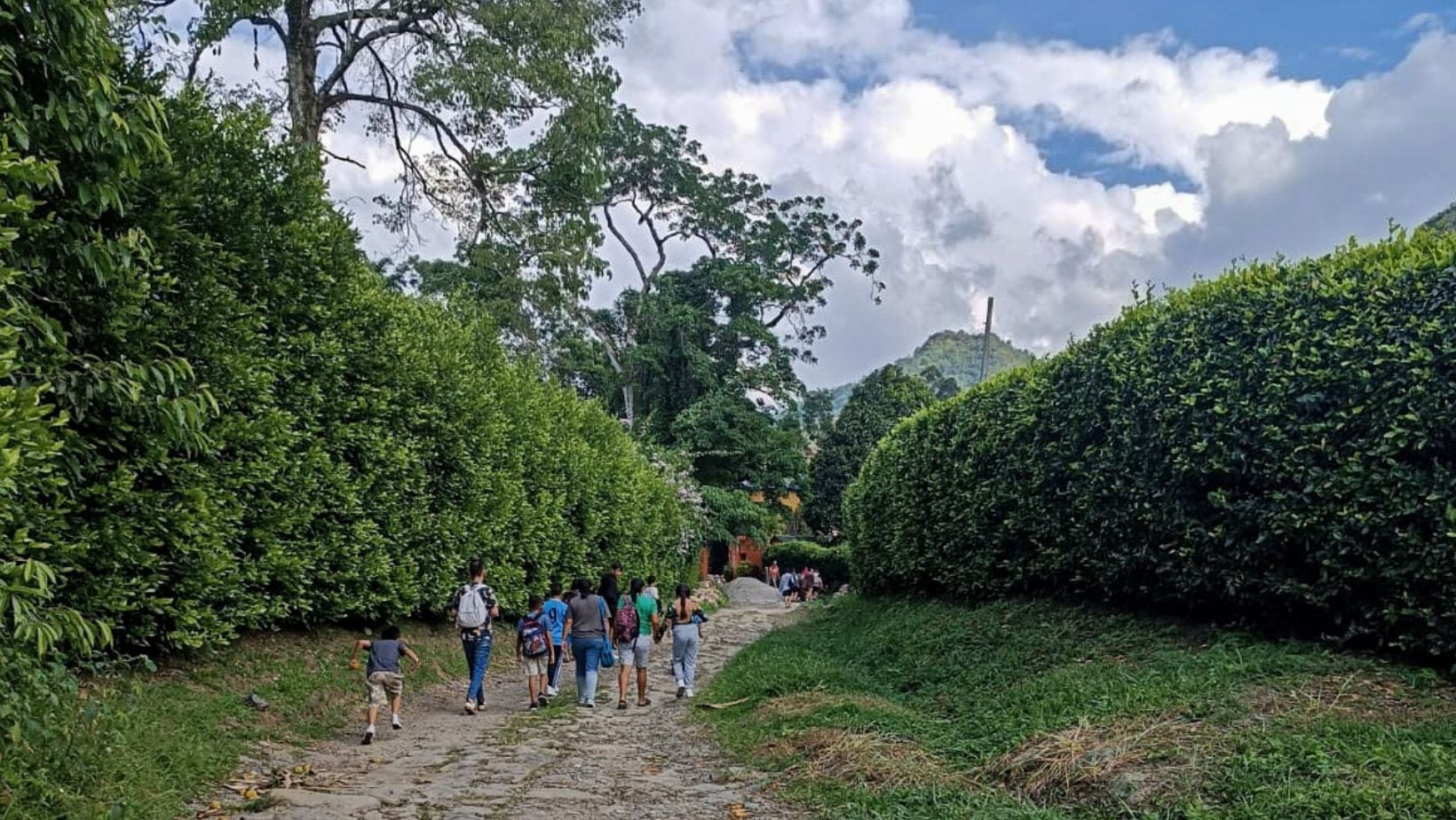 Antes conocido como 'primavera cundinamarquesa', este es el pueblo  donde el paisaje se fusiona con el verde de las montañas y cielo azul