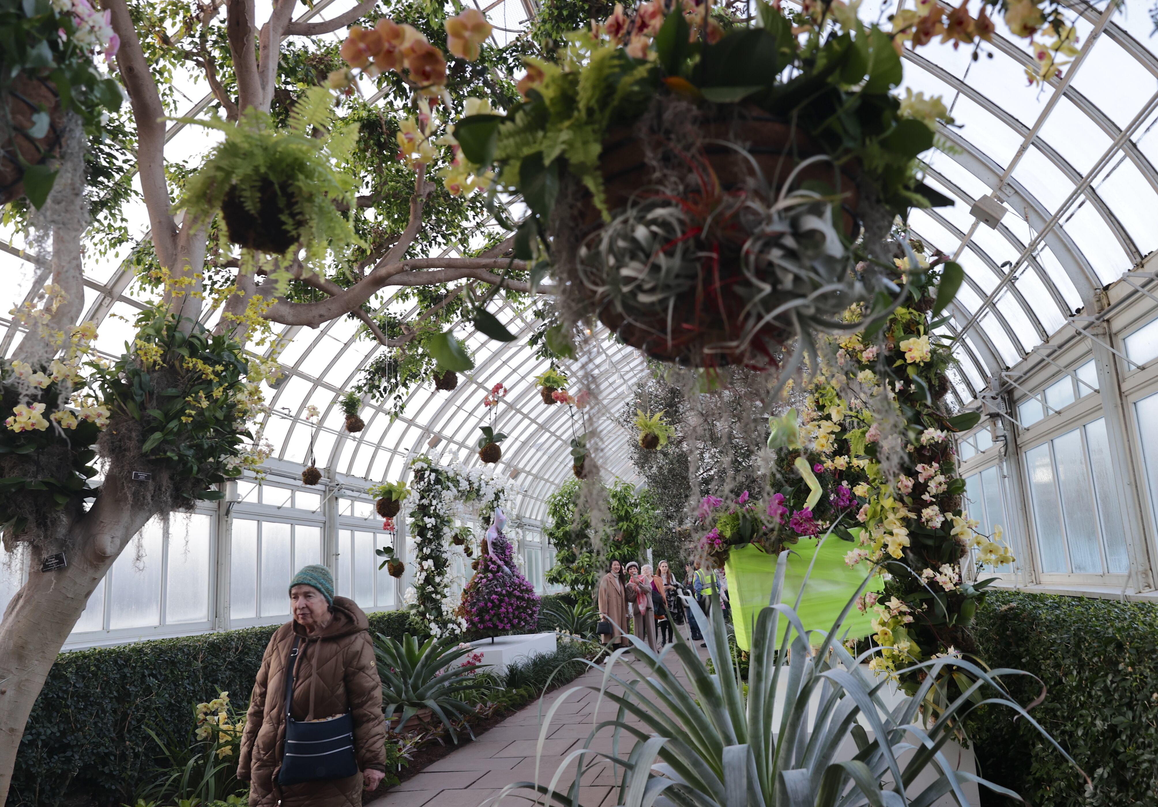 Los ocho eventos en Nueva York para disfrutar del 20 al 26 de febrero de 2025