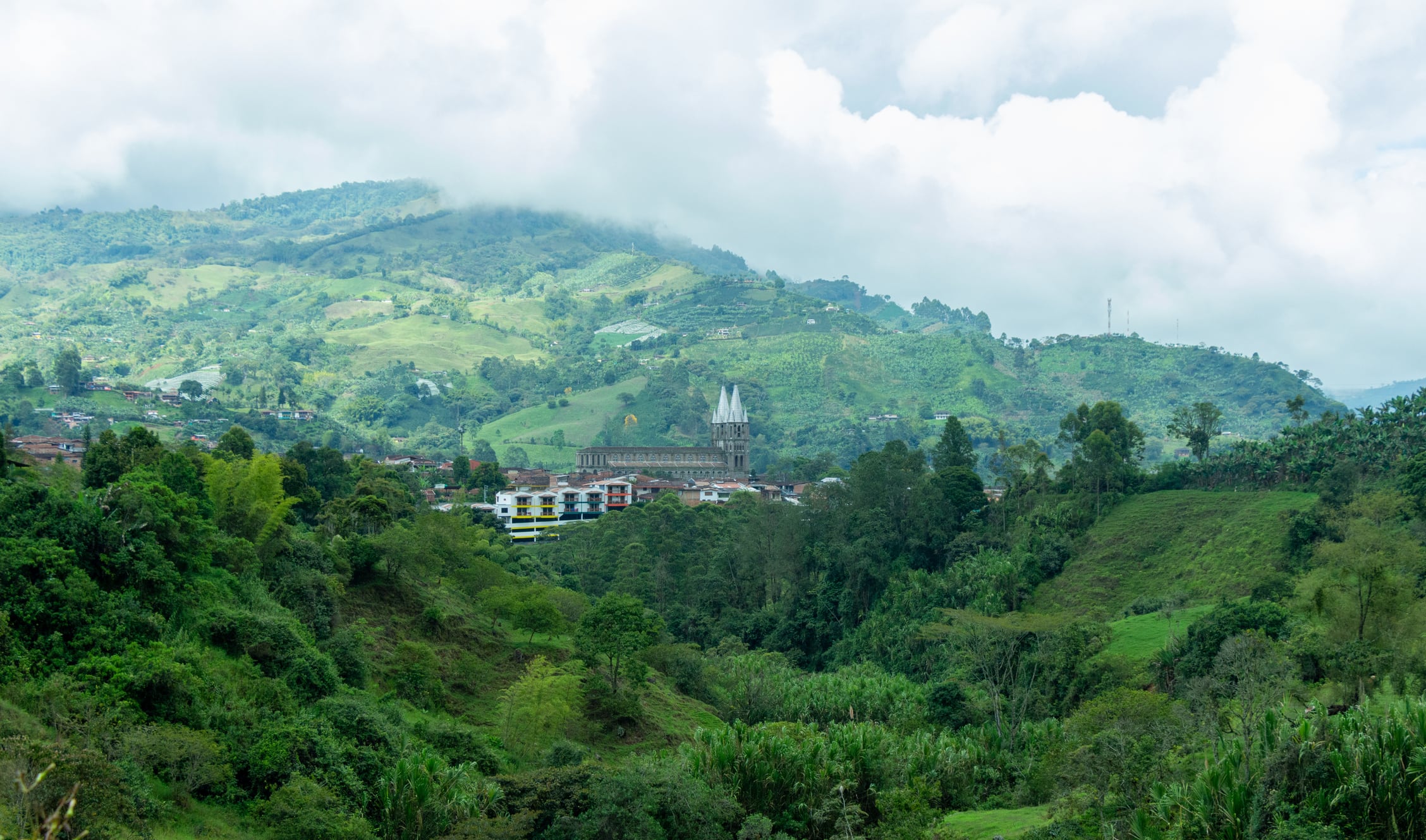 Jardín está rodeado de mucha naturaleza