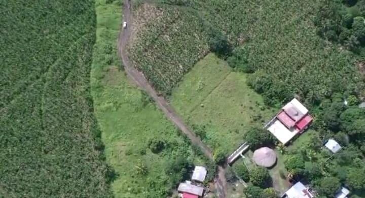 Carretera privada de Los Wil para llegar al mar.