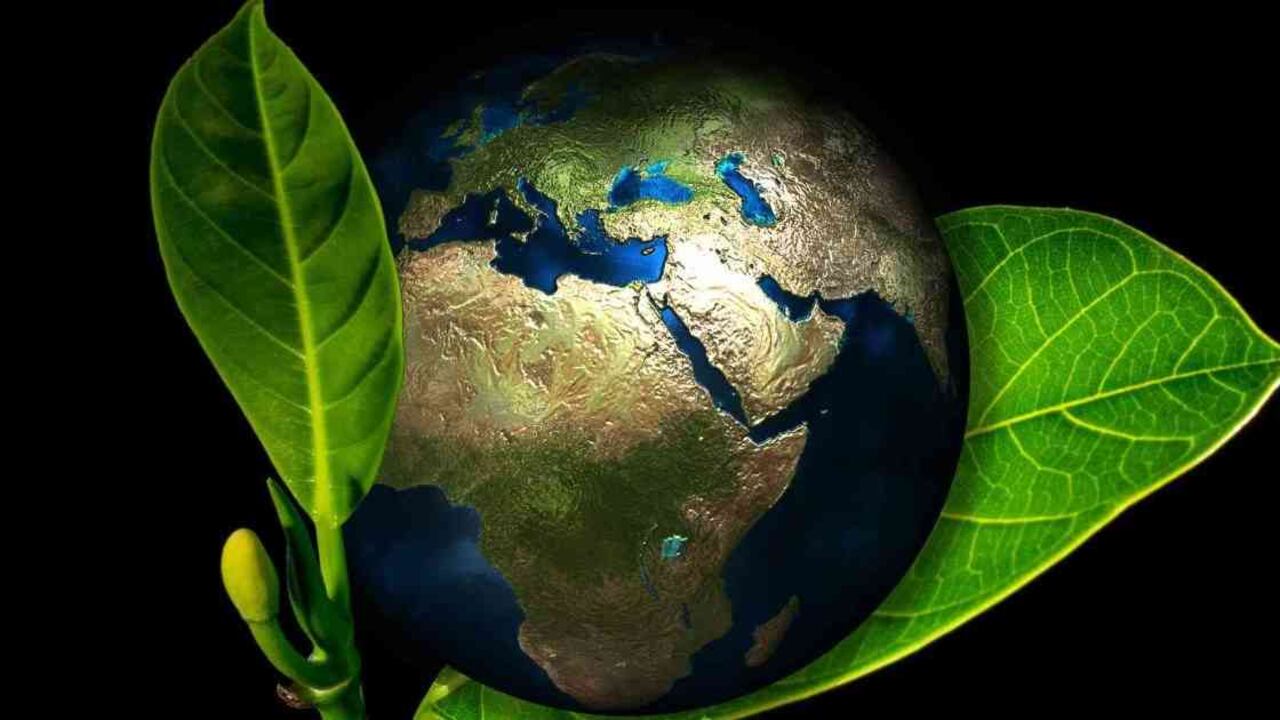 El desarrollo de negocios sostenibles es clave para ayudar al planeta.