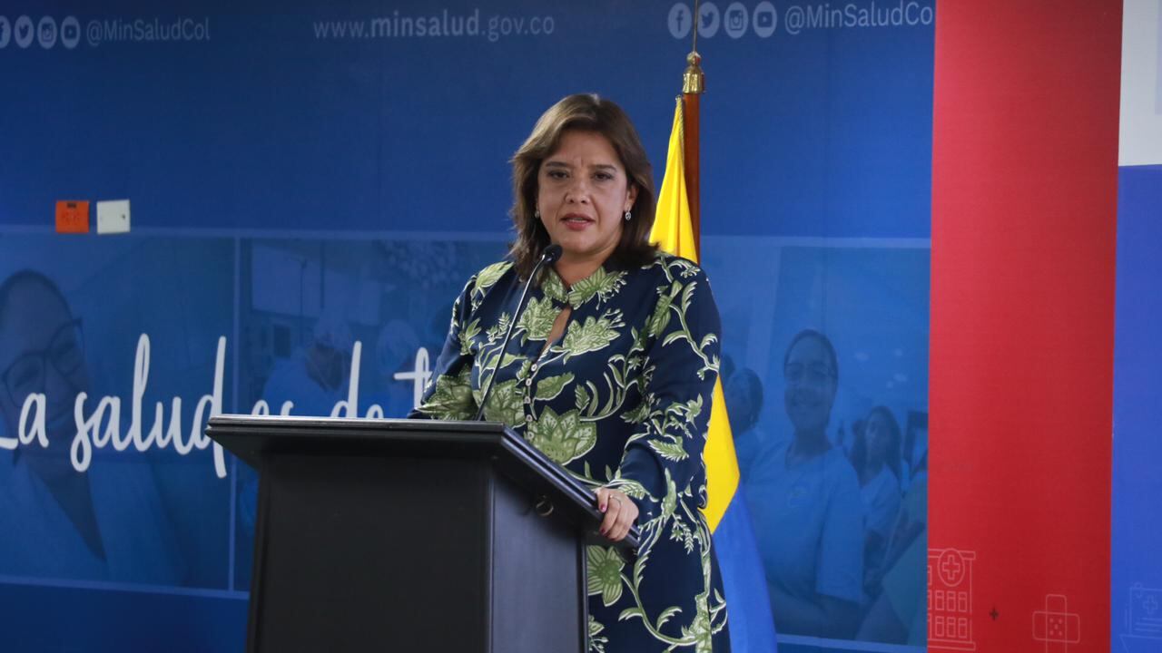 La viceministra de Protección Social, María Andrea Godoy Casadiego, informó que el decreto será divulgado en el país a través de mesas con los actores del sistema de salud.