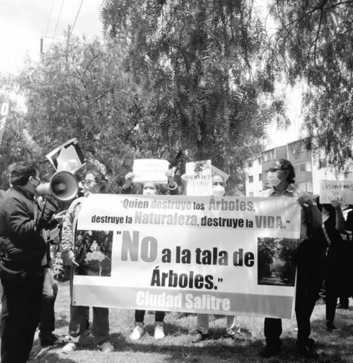 Tala de árboles Avenida 68